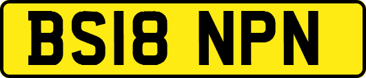BS18NPN