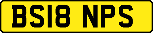 BS18NPS