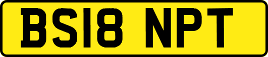 BS18NPT