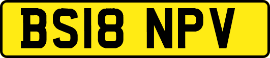 BS18NPV