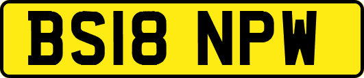 BS18NPW