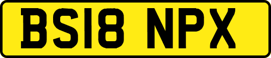BS18NPX