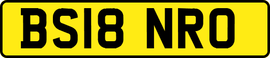 BS18NRO