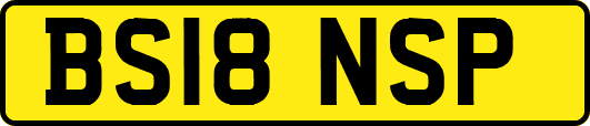 BS18NSP