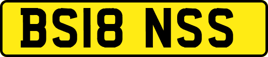 BS18NSS