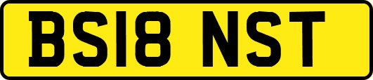 BS18NST
