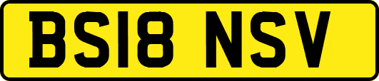 BS18NSV