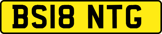 BS18NTG
