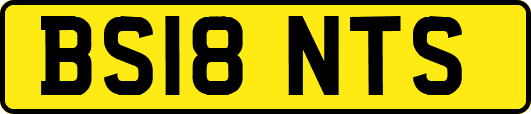 BS18NTS