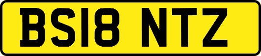 BS18NTZ