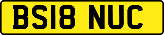 BS18NUC
