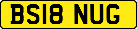 BS18NUG