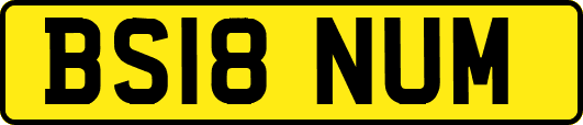 BS18NUM