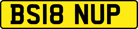 BS18NUP