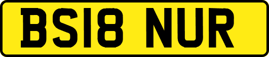 BS18NUR