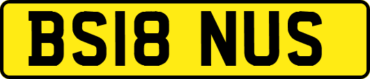BS18NUS