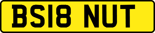 BS18NUT