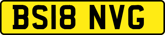 BS18NVG