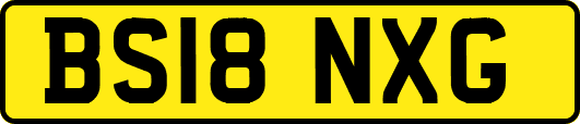 BS18NXG