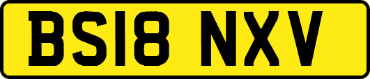 BS18NXV