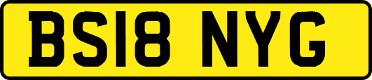 BS18NYG