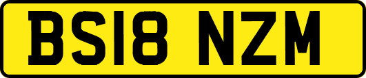 BS18NZM