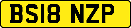 BS18NZP