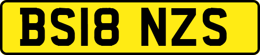BS18NZS