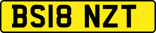 BS18NZT
