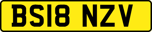 BS18NZV