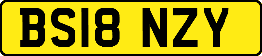 BS18NZY