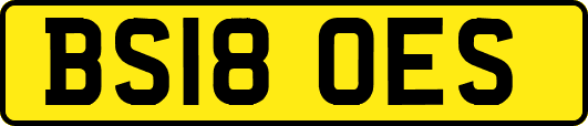 BS18OES