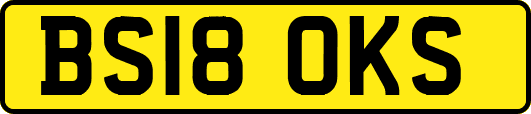BS18OKS