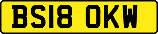 BS18OKW