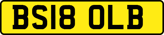 BS18OLB