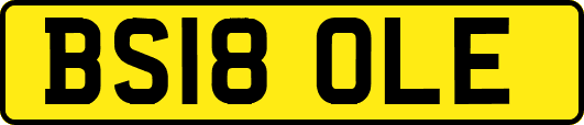 BS18OLE