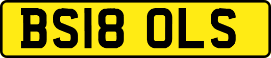 BS18OLS