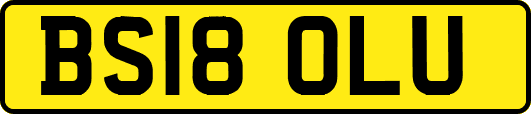 BS18OLU