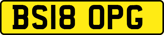 BS18OPG