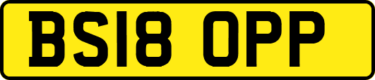 BS18OPP