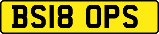 BS18OPS