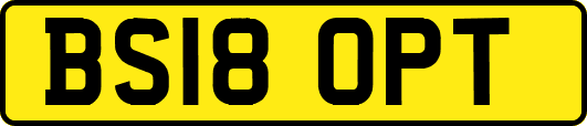 BS18OPT