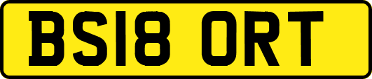 BS18ORT