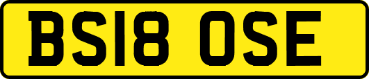 BS18OSE
