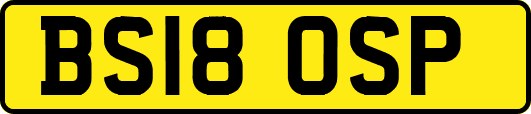 BS18OSP