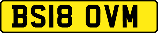 BS18OVM