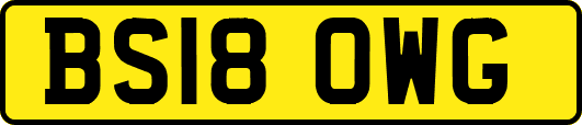 BS18OWG