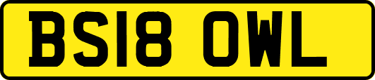 BS18OWL