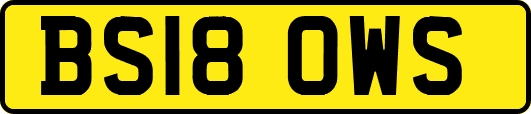BS18OWS