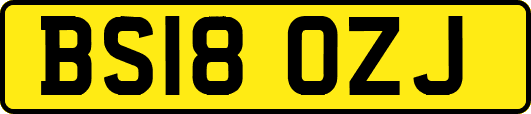 BS18OZJ
